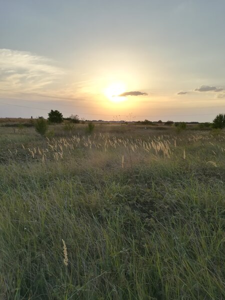 Berceni, teren intravilan 575 mp,