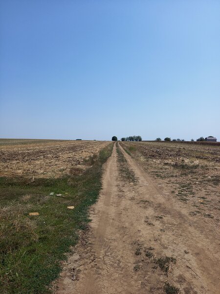 Berceni, teren intravilan 575 mp,