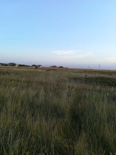 Berceni, teren intravilan 575 mp,