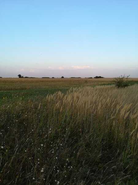 Berceni, teren intravilan 575 mp,