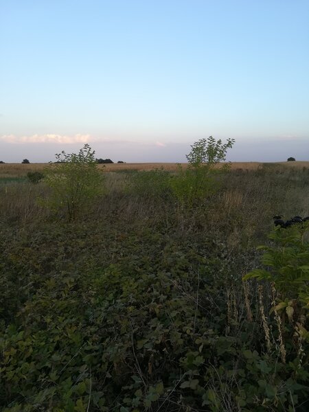 Berceni, teren intravilan 575 mp,