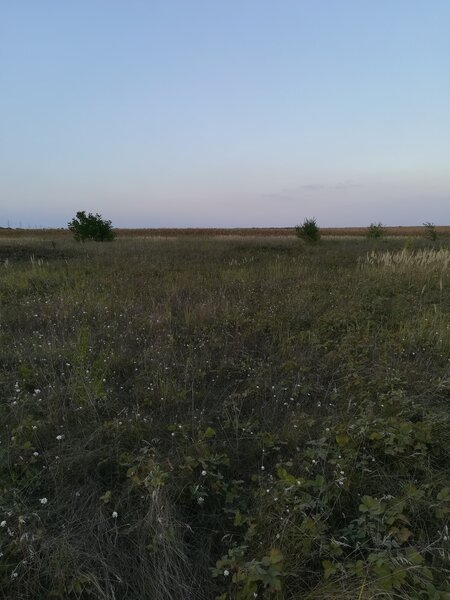 Berceni, teren intravilan 575 mp,