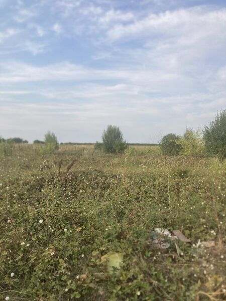 Berceni, teren intravilan 575 mp,