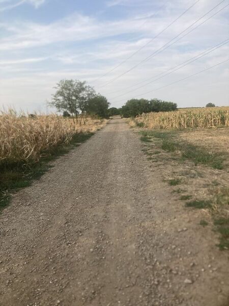 Berceni, teren intravilan 575 mp,