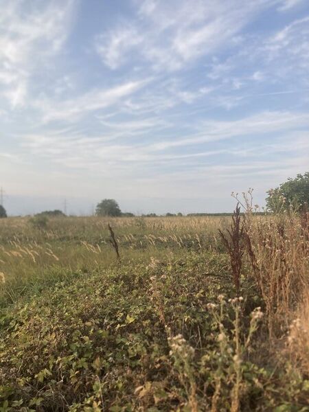 Berceni, teren intravilan 575 mp,