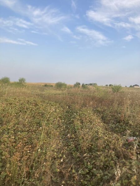 Berceni, teren intravilan 575 mp,