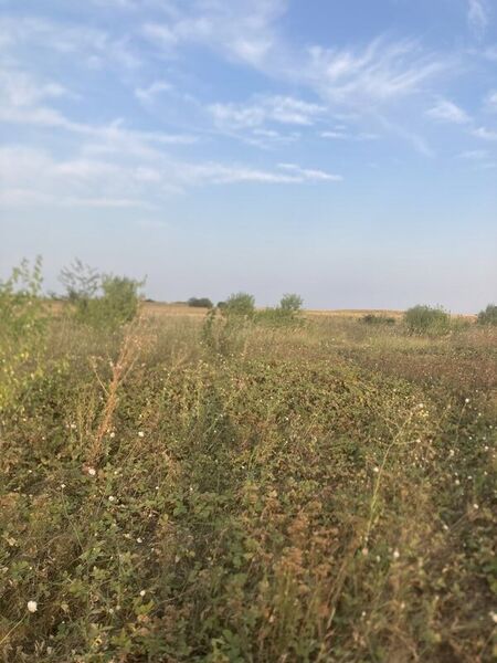 Berceni, teren intravilan 575 mp,